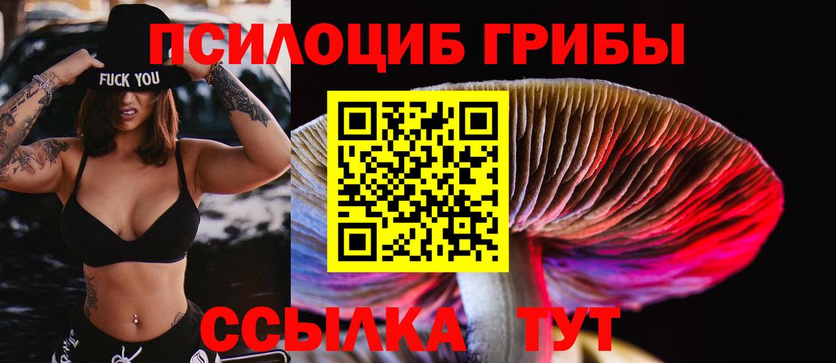 Шарыпово  Псилоцибиновые грибы мухоморы  Вход с VPN 